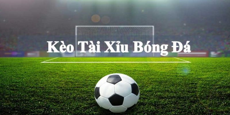 Khái niệm kèo tài xỉu 2.5